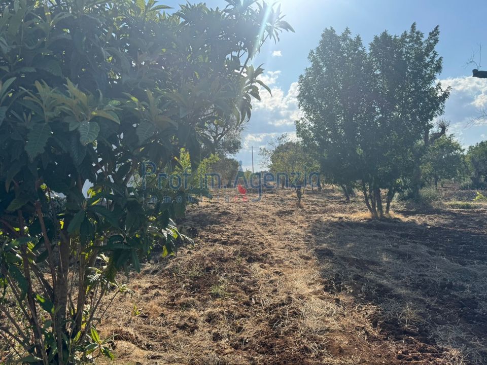 Helårsgrund i San Vito dei Normanni, Brindisi - foto 1